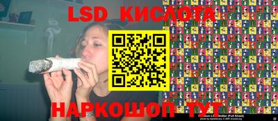 МДПВ Камышлов