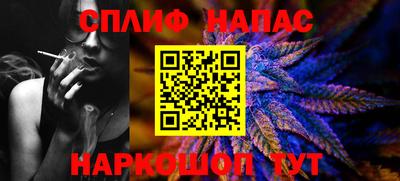 МДПВ Камышлов